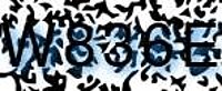 grafischer Sicherheitscode