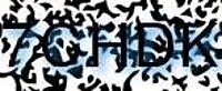 grafischer Sicherheitscode