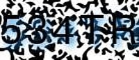 grafischer Sicherheitscode