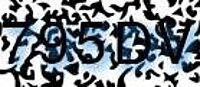 grafischer Sicherheitscode