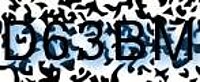 grafischer Sicherheitscode