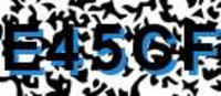 grafischer Sicherheitscode