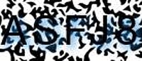 grafischer Sicherheitscode