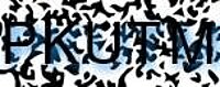 grafischer Sicherheitscode