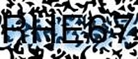 grafischer Sicherheitscode