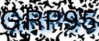 grafischer Sicherheitscode