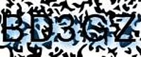 grafischer Sicherheitscode