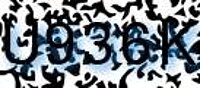 grafischer Sicherheitscode