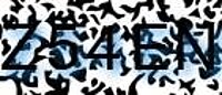 grafischer Sicherheitscode