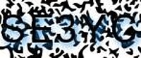 grafischer Sicherheitscode