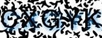 grafischer Sicherheitscode
