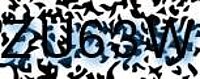 grafischer Sicherheitscode