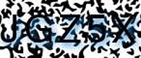grafischer Sicherheitscode