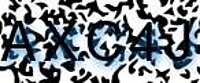 grafischer Sicherheitscode
