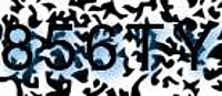 grafischer Sicherheitscode