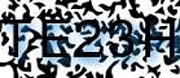 grafischer Sicherheitscode