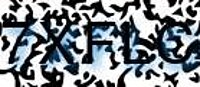grafischer Sicherheitscode