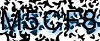 grafischer Sicherheitscode