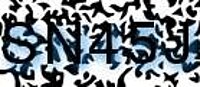 grafischer Sicherheitscode