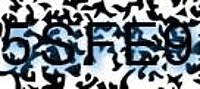 grafischer Sicherheitscode