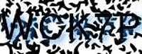 grafischer Sicherheitscode