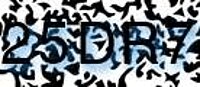 grafischer Sicherheitscode