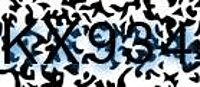 grafischer Sicherheitscode