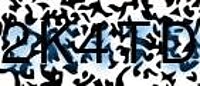 grafischer Sicherheitscode