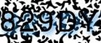 grafischer Sicherheitscode
