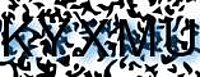 grafischer Sicherheitscode