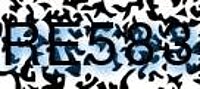 grafischer Sicherheitscode