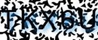 grafischer Sicherheitscode