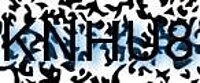 grafischer Sicherheitscode