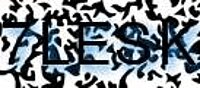 grafischer Sicherheitscode
