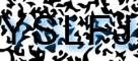 grafischer Sicherheitscode