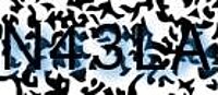 grafischer Sicherheitscode