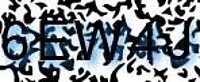 grafischer Sicherheitscode