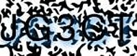 grafischer Sicherheitscode