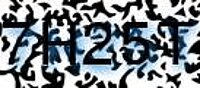 grafischer Sicherheitscode