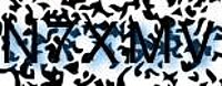 grafischer Sicherheitscode