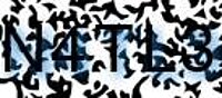 grafischer Sicherheitscode