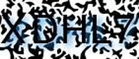 grafischer Sicherheitscode