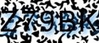 grafischer Sicherheitscode