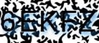 grafischer Sicherheitscode