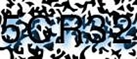 grafischer Sicherheitscode