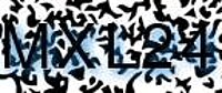 grafischer Sicherheitscode