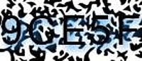 grafischer Sicherheitscode