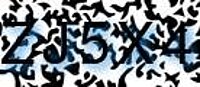 grafischer Sicherheitscode