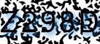 grafischer Sicherheitscode